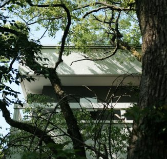 Un arbre devant une maison moderne, capturé par Mak