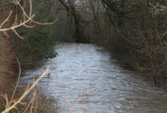 Inondations au centre Michel Bertelle