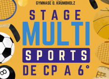 Stage Multisports