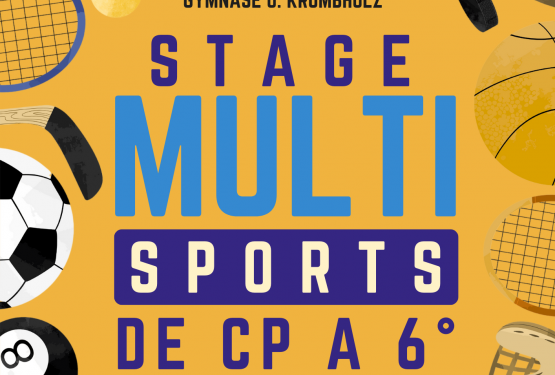 Stage Multisports