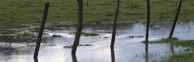 Inondations au centre Michel Bertelle